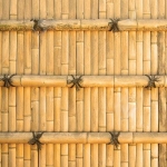 25249451-Traditional-Japanese-bamboo-wall-Stock-Photo