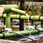 bamboofountain