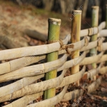 traditional-japanese-bamboo-fence-in-garden-selective-focus-on-second-vertical-pole-Stock-Photo