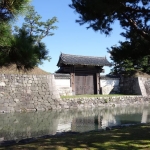 DSC04727.JPG