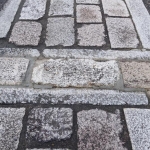 DSC03934.JPG(1)