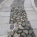 DSC04954.JPG