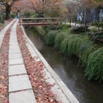 DSC07310.JPG