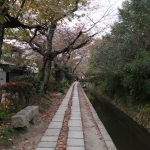 DSC07315.JPG