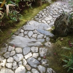 DSC07802.JPG copy