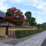 T10