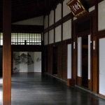 T24