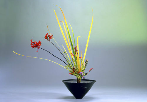 Feodaal Eenheid samenzwering Kado – The Way of Flower Arranging | Traditional Kyoto