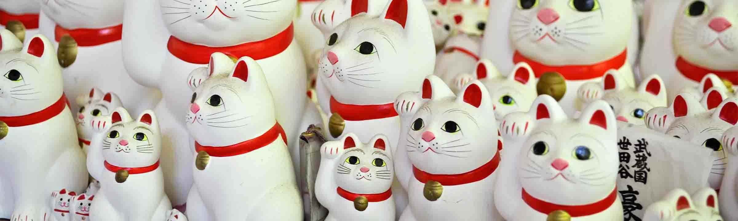 Japanese traditional towel TENUGUI Maneki neko Happy Cat SUMO 